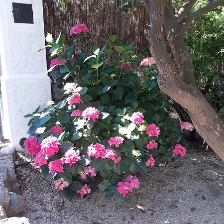 Feriehus Au Fil De L Eau Cannes