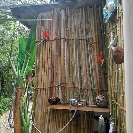 Au Fil De L Eau * Cannes