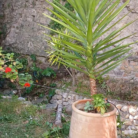 بيت للعطل Au Fil De L Eau *