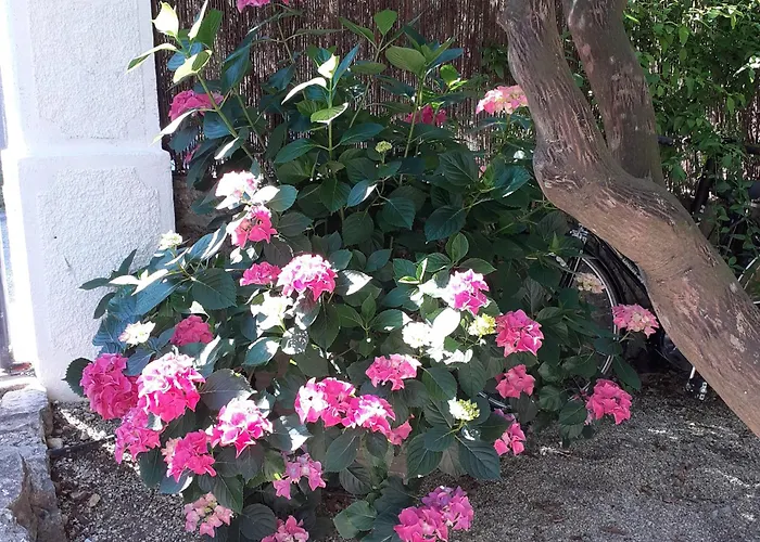 Dom wakacyjny Au Fil De L Eau Cannes